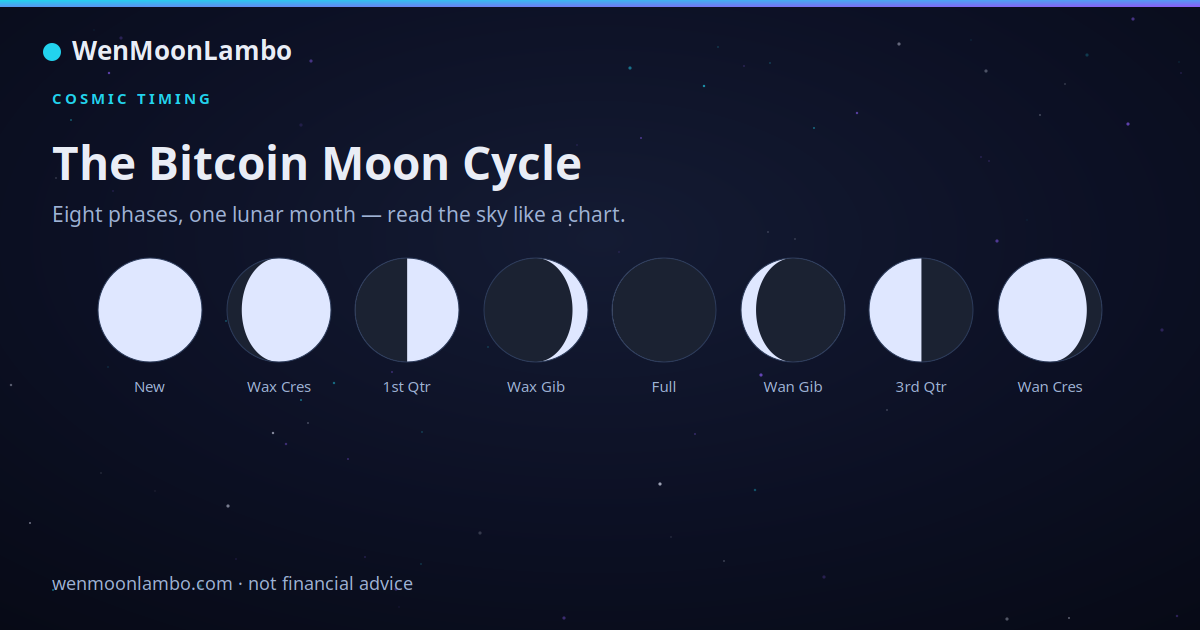 The eight phases of the Bitcoin moon cycle, new moon through full moon